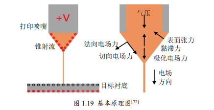 高壓放大器ATA-7050在微納3D打印系統中的具體應用