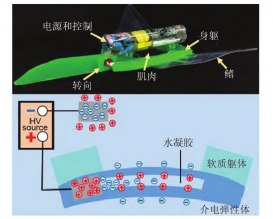 ATA-7030高壓放大器在介電彈性體智能材料中的應用